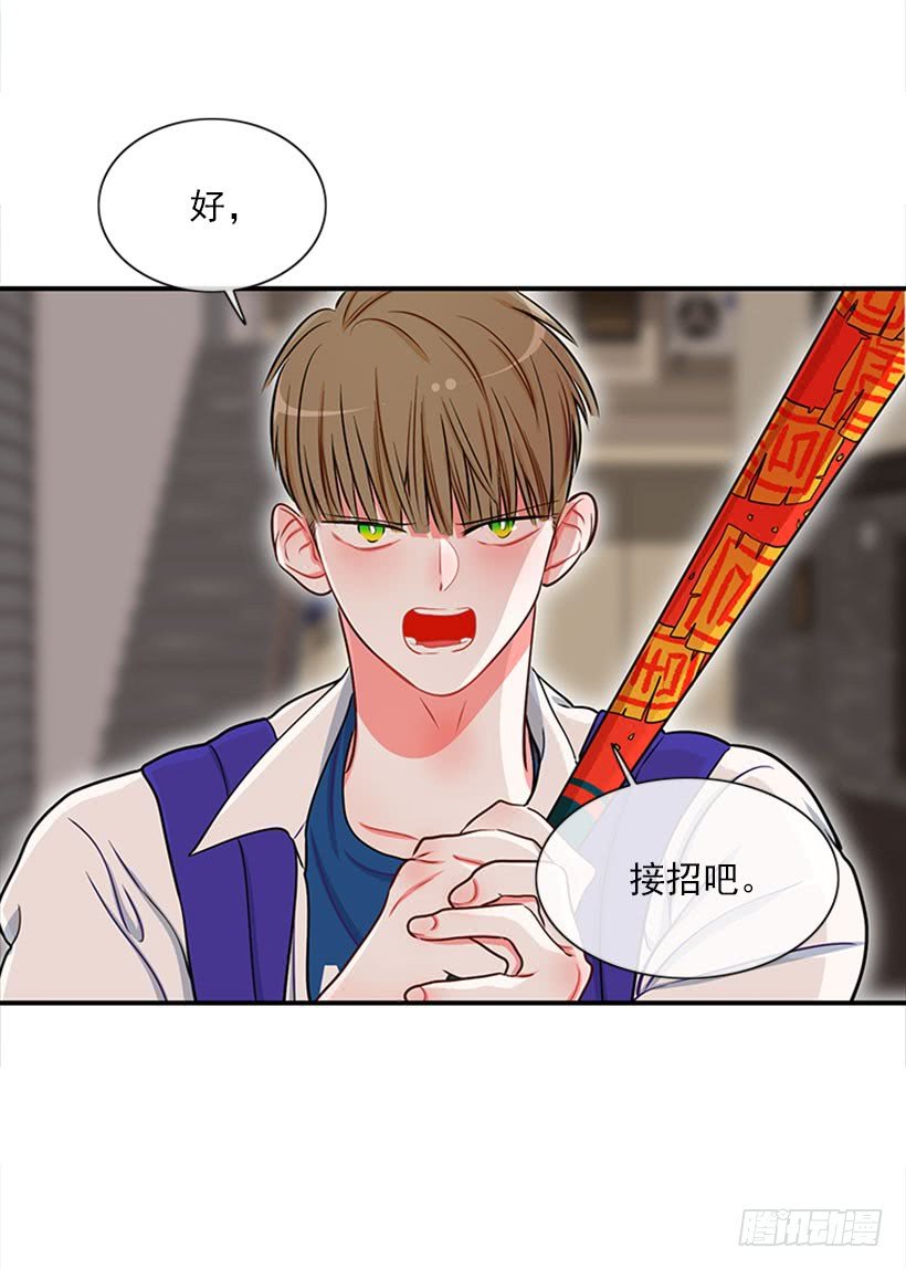 我的猫崽