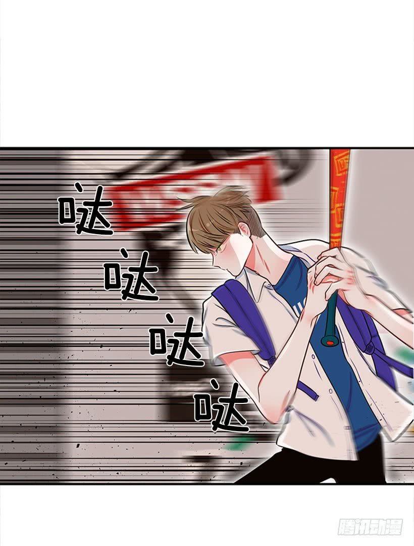 我的猫崽