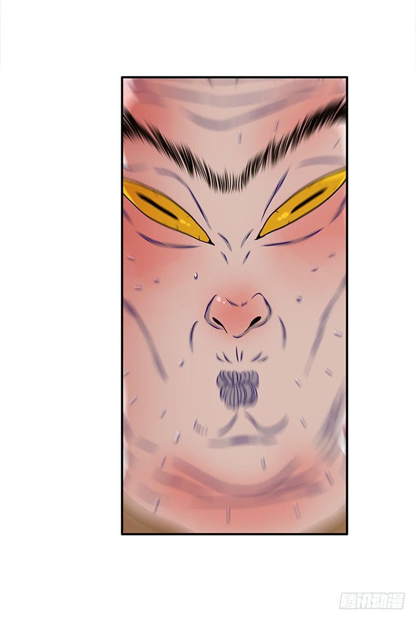 我的猫崽