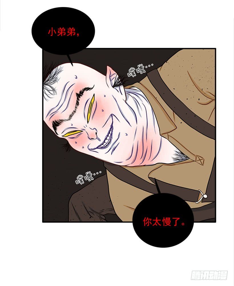 我的猫崽