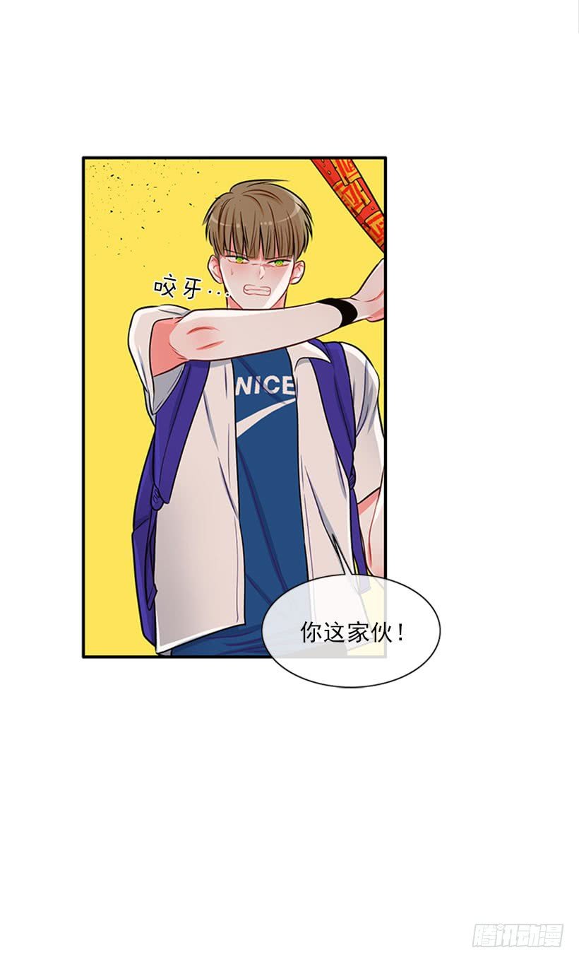 我的猫崽