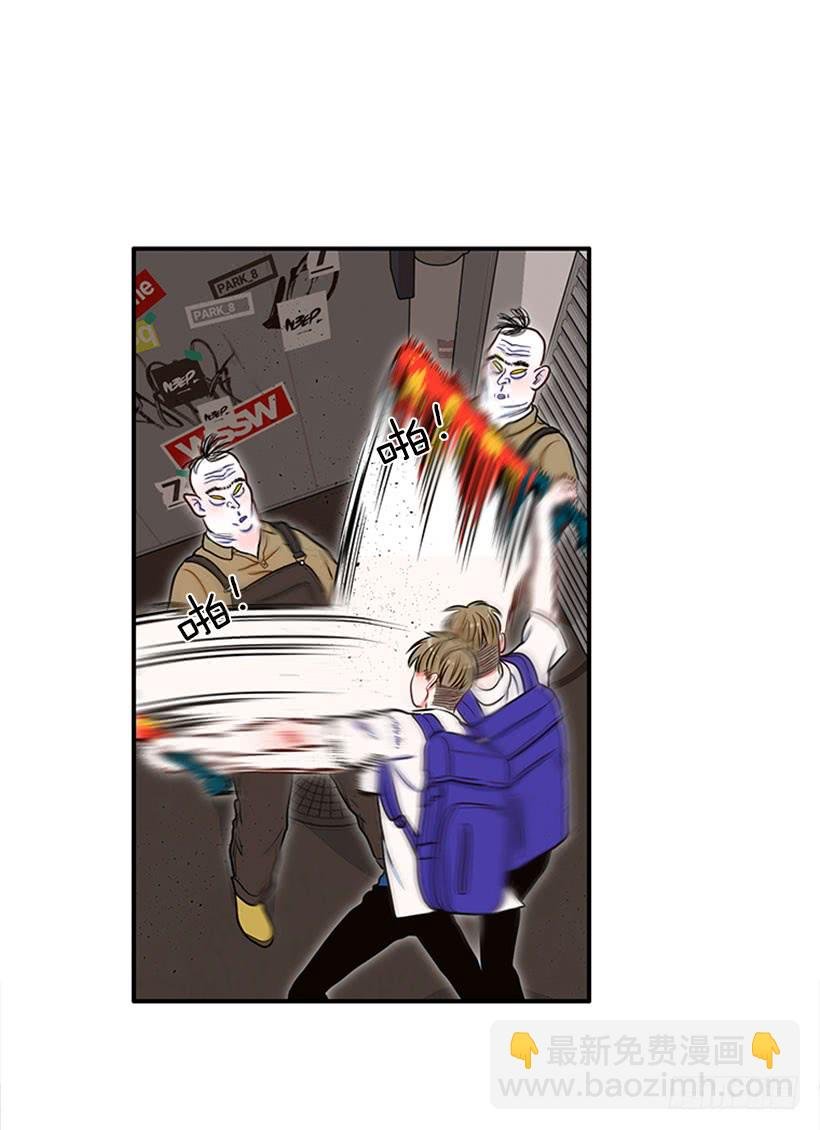 我的猫崽