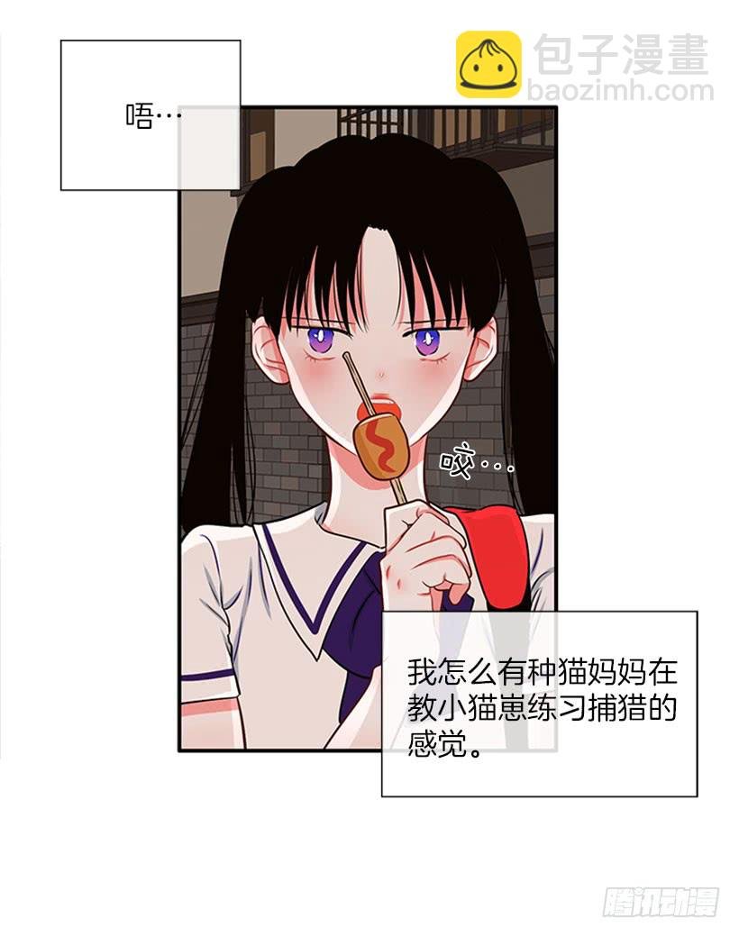 我的猫崽