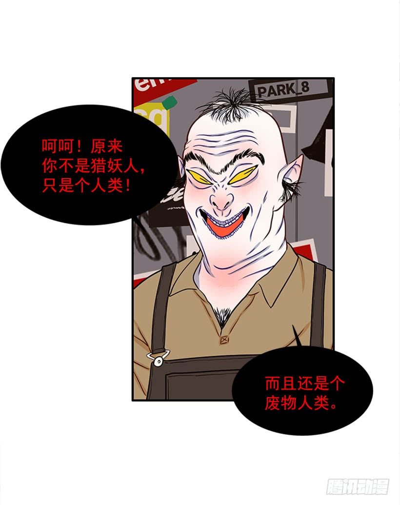 我的猫崽