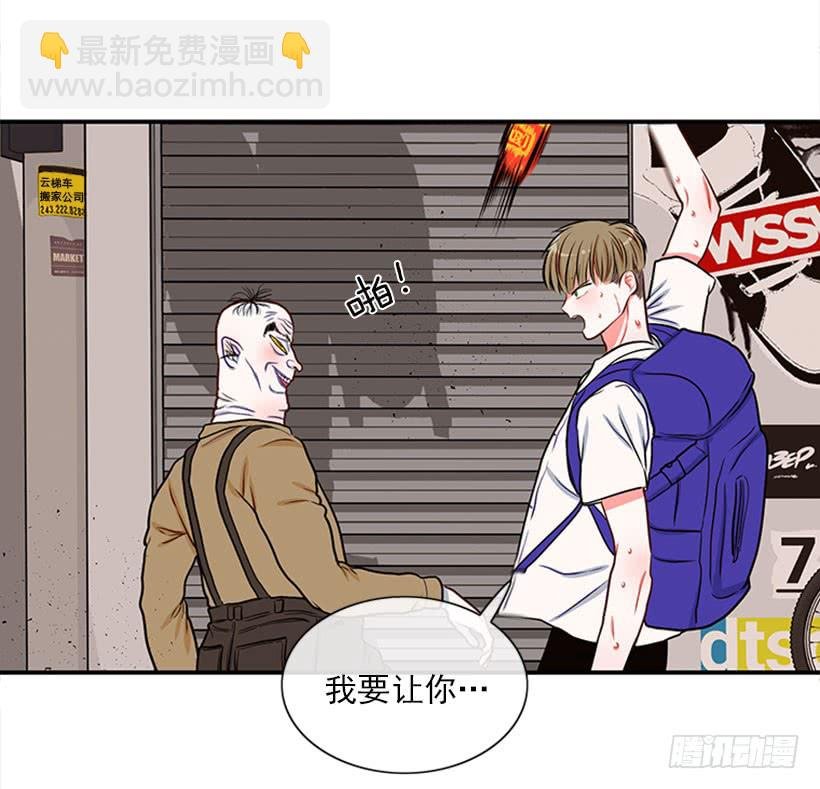 我的猫崽