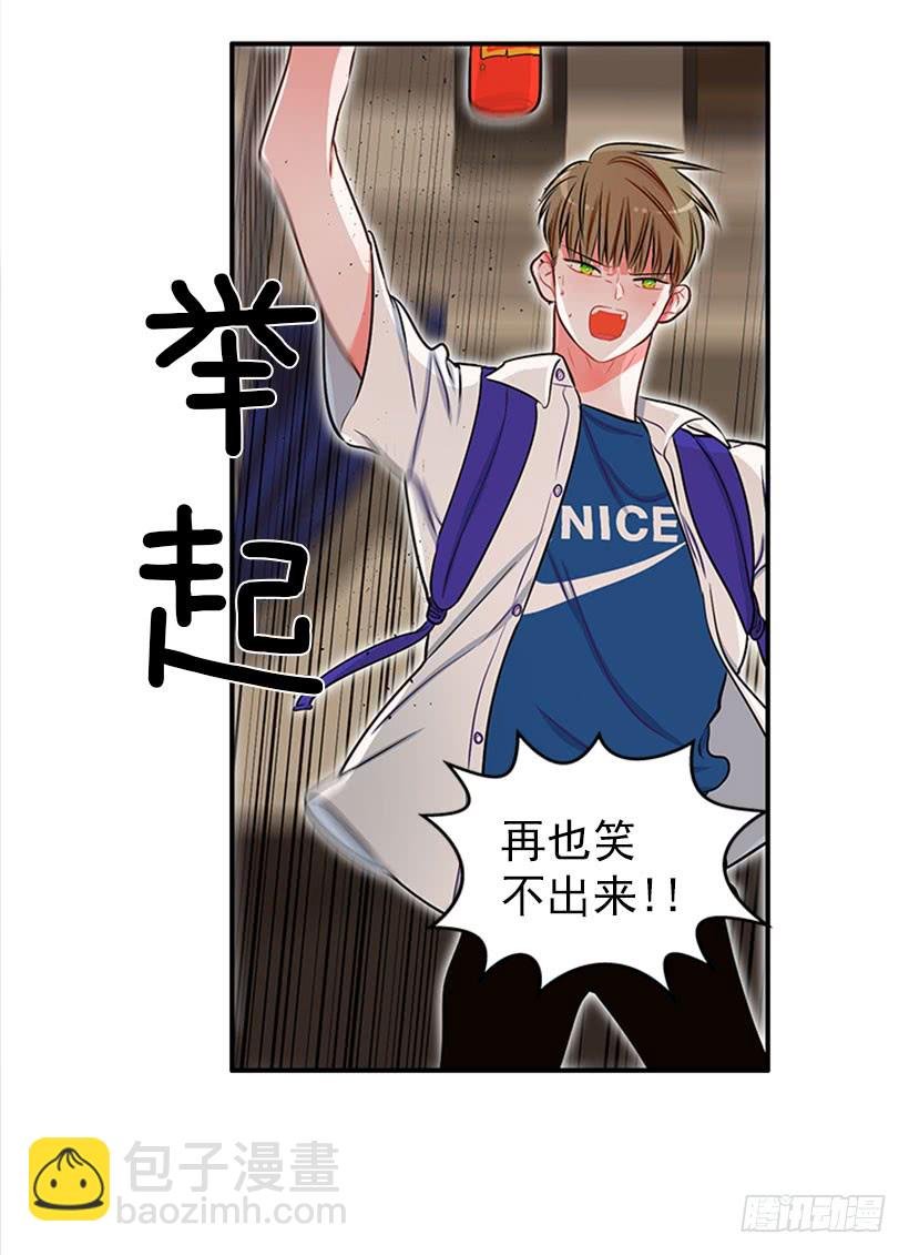我的猫崽