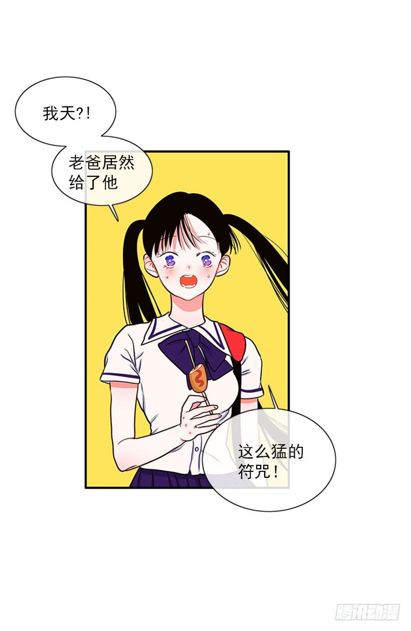 我的猫崽