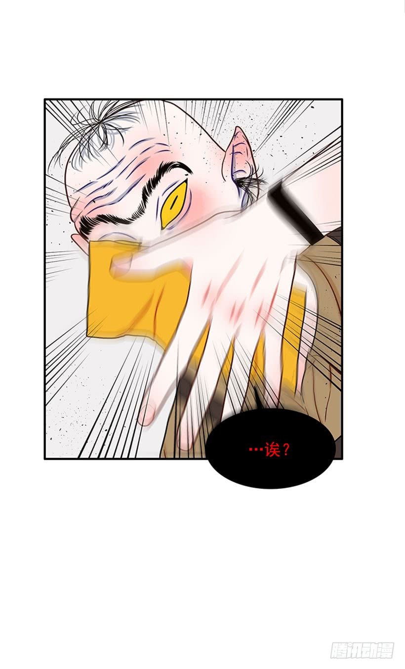 猫妈妈出场了