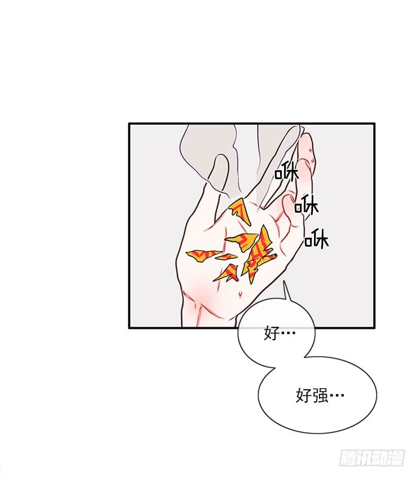 猫妈妈出场了