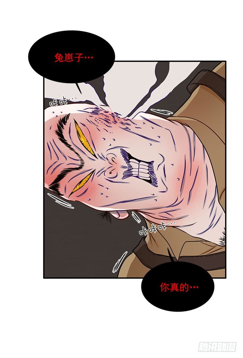 猫妈妈出场了