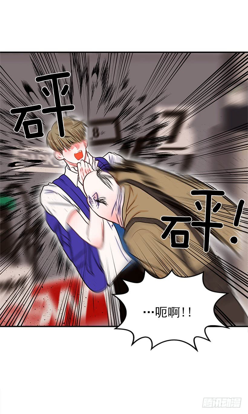 猫妈妈出场了