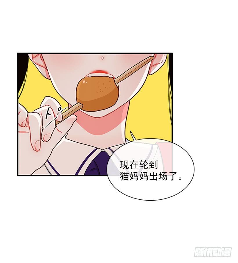 猫妈妈出场了