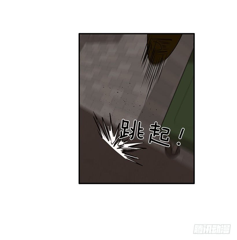 猫妈妈出场了
