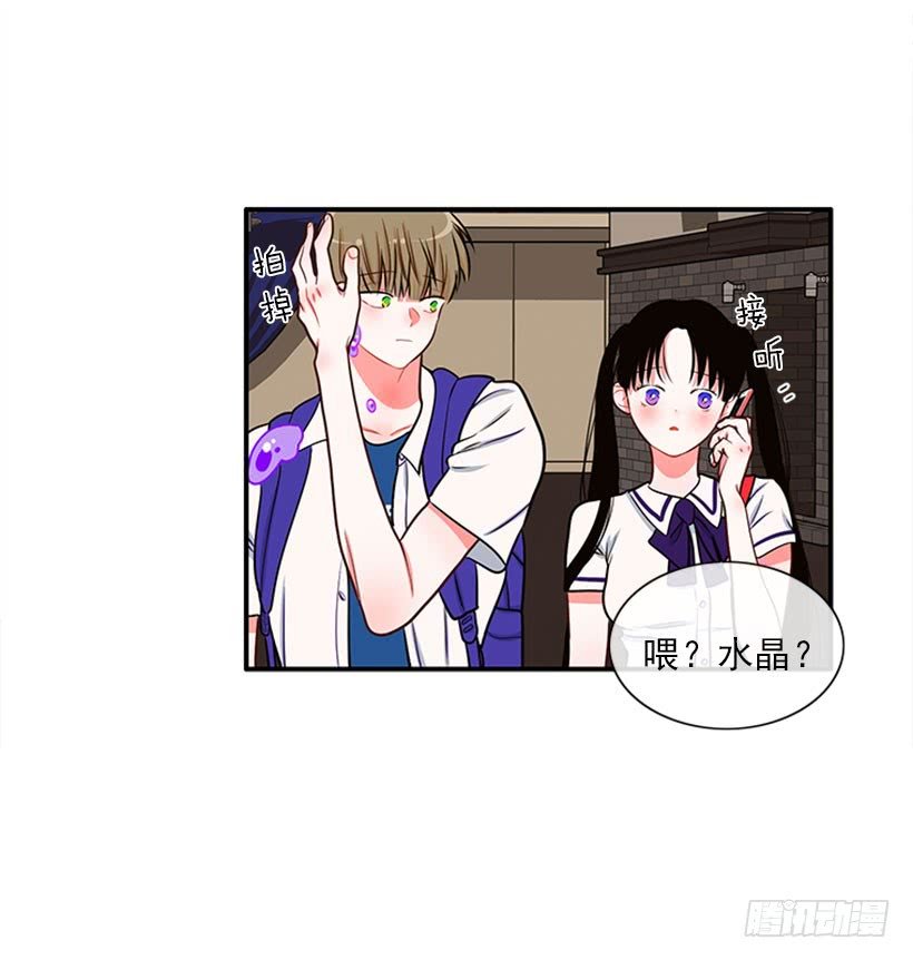 猫妈妈出场了
