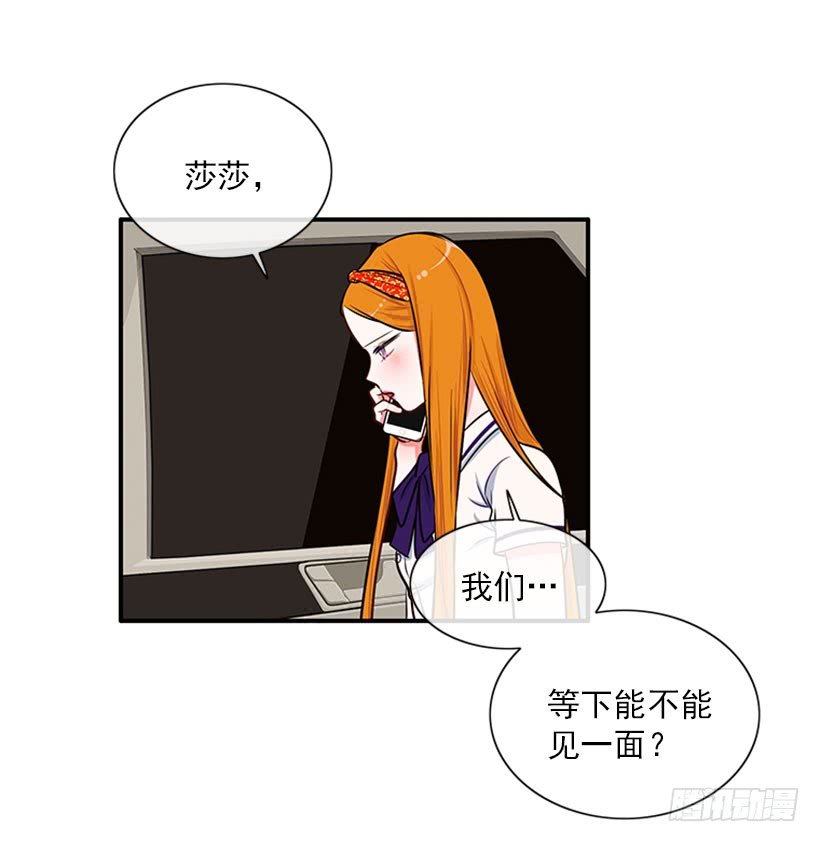 猫妈妈出场了