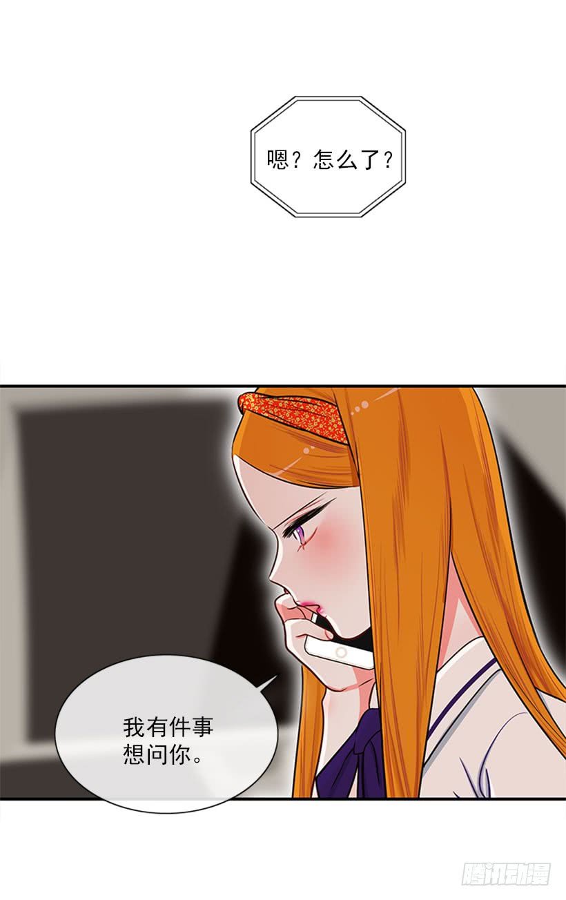 猫妈妈出场了