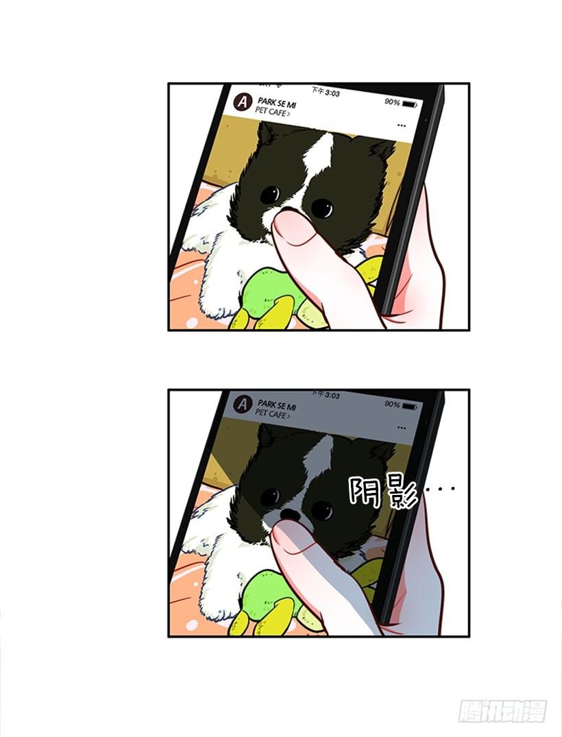 美少年被告白
