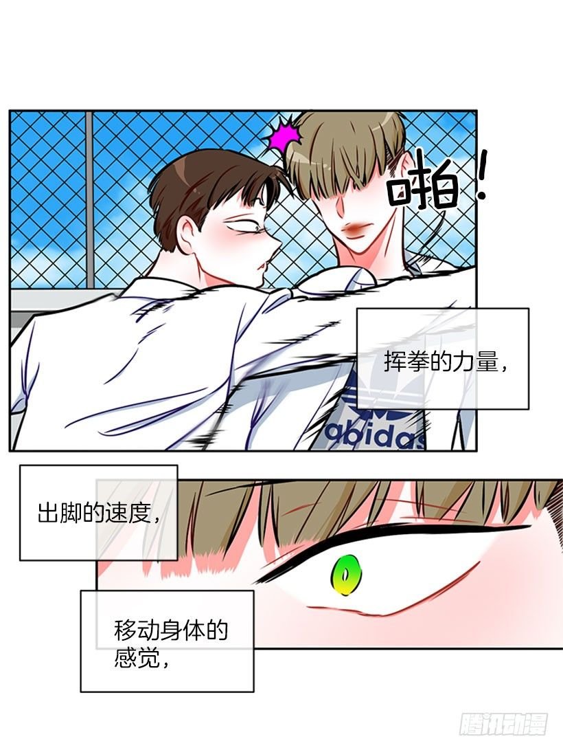 靠实力说话