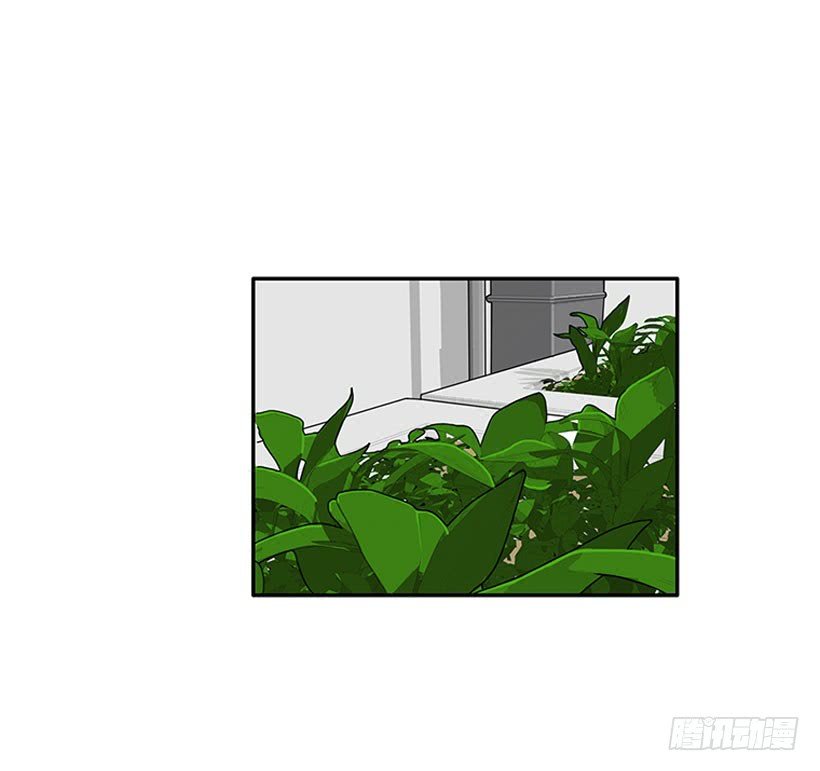 我的女王