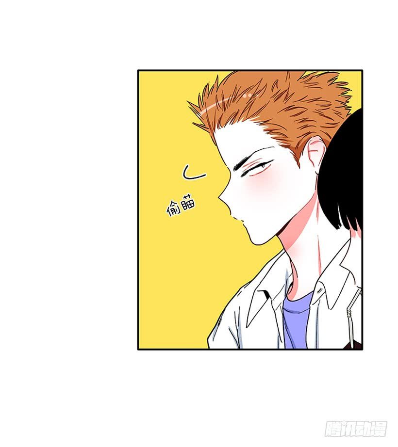 我的女王