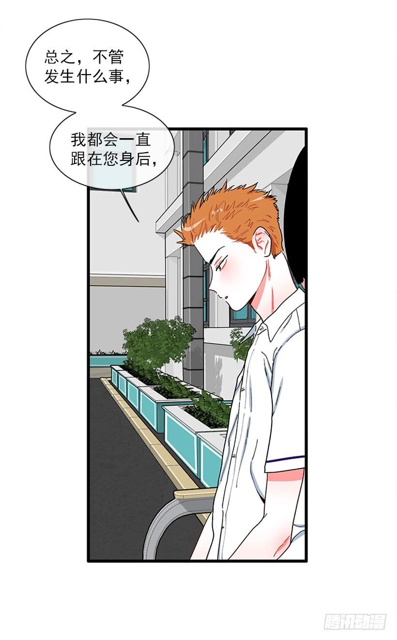 我的女王