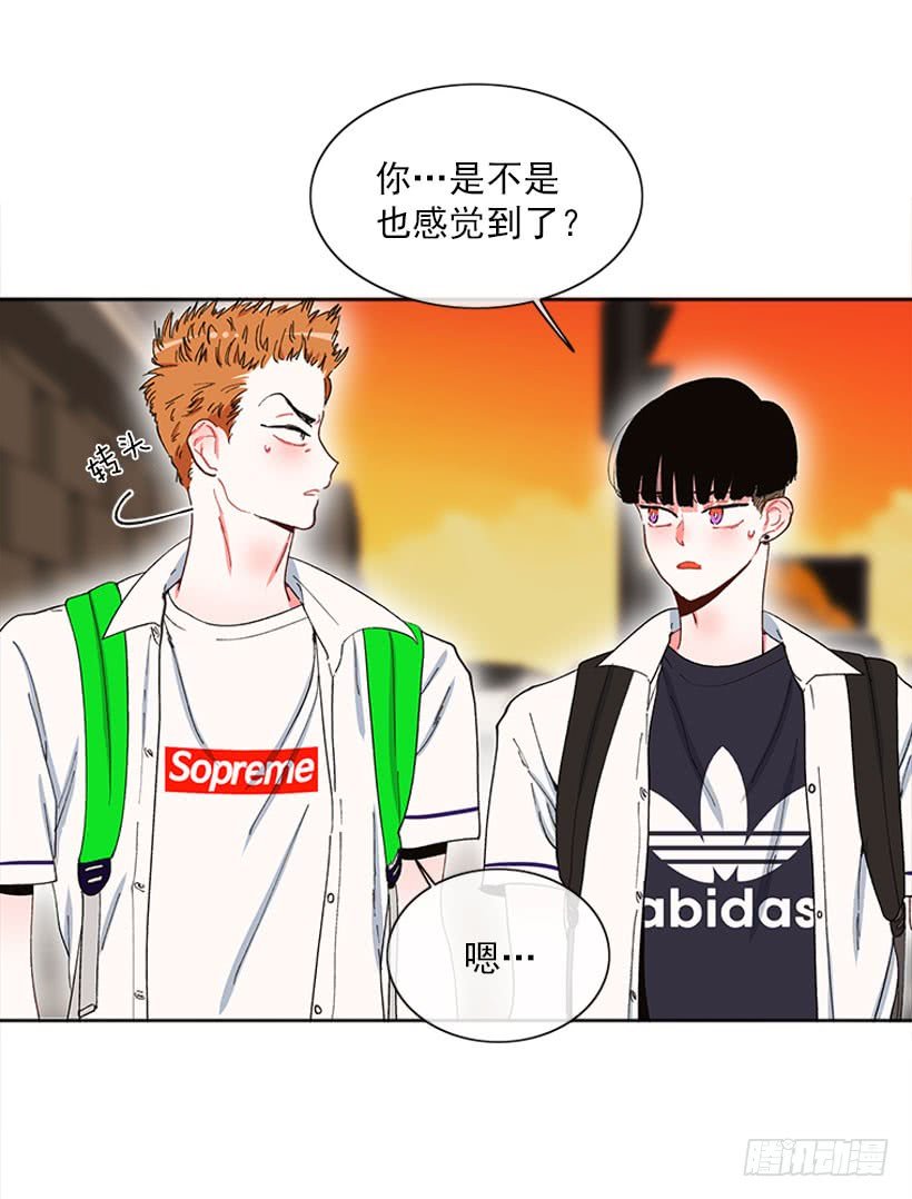 肉麻的大公