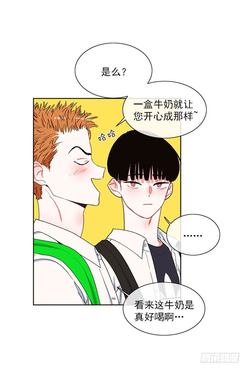 巧克力牛奶