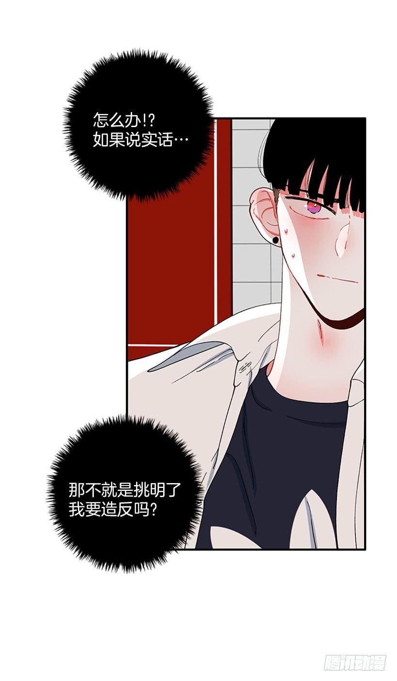 我来帮你！