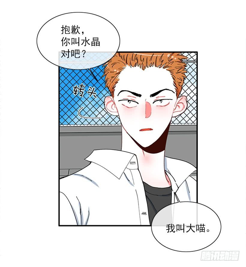 不能说的秘密