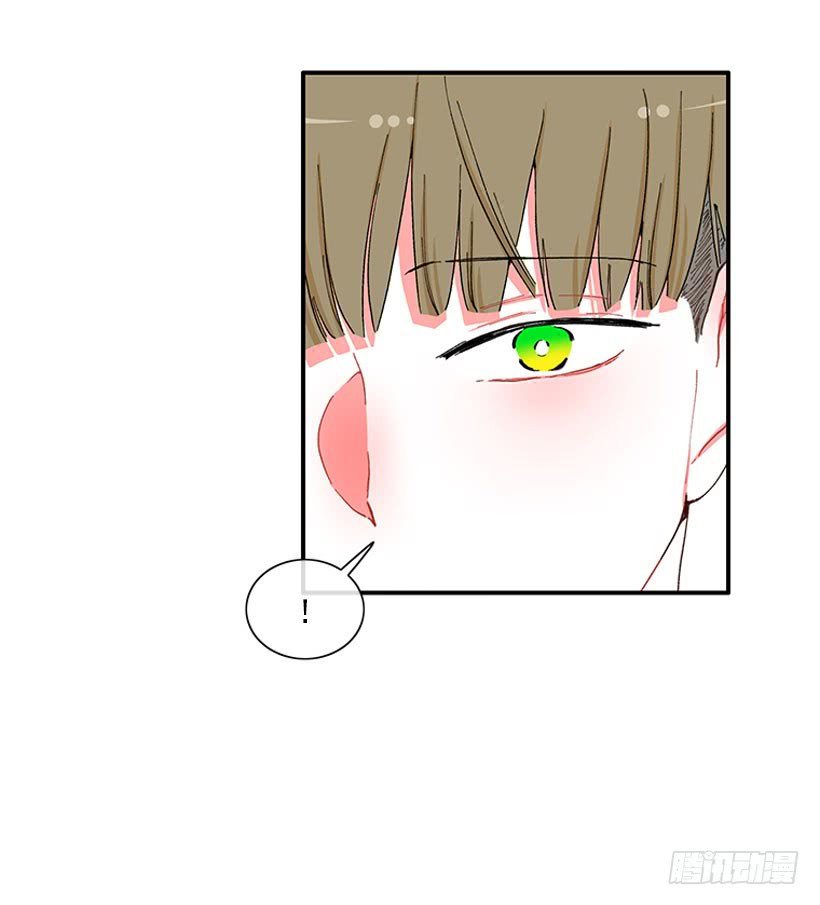 告白