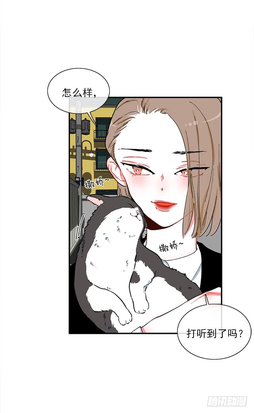 男朋友