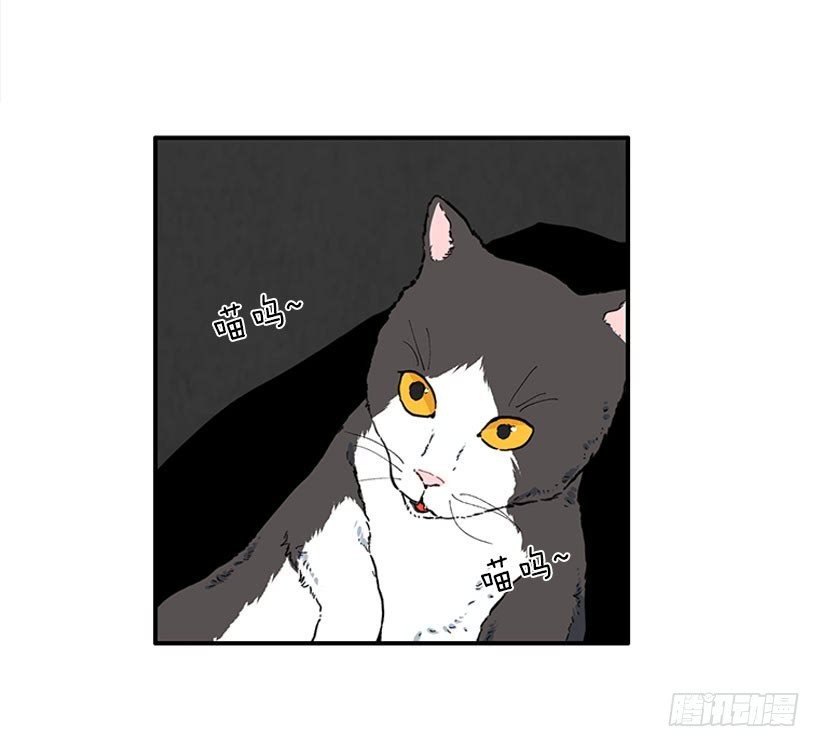 男朋友