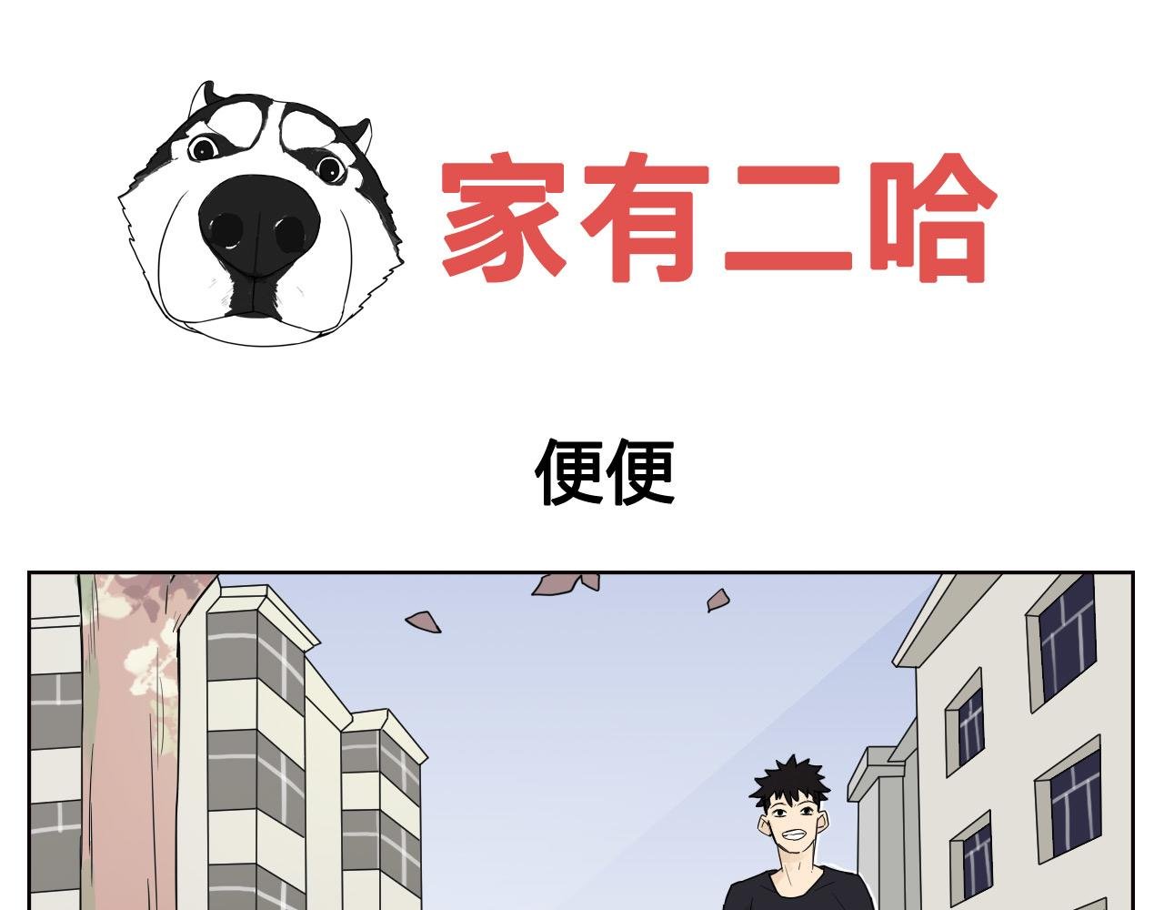 二哈超自恋!