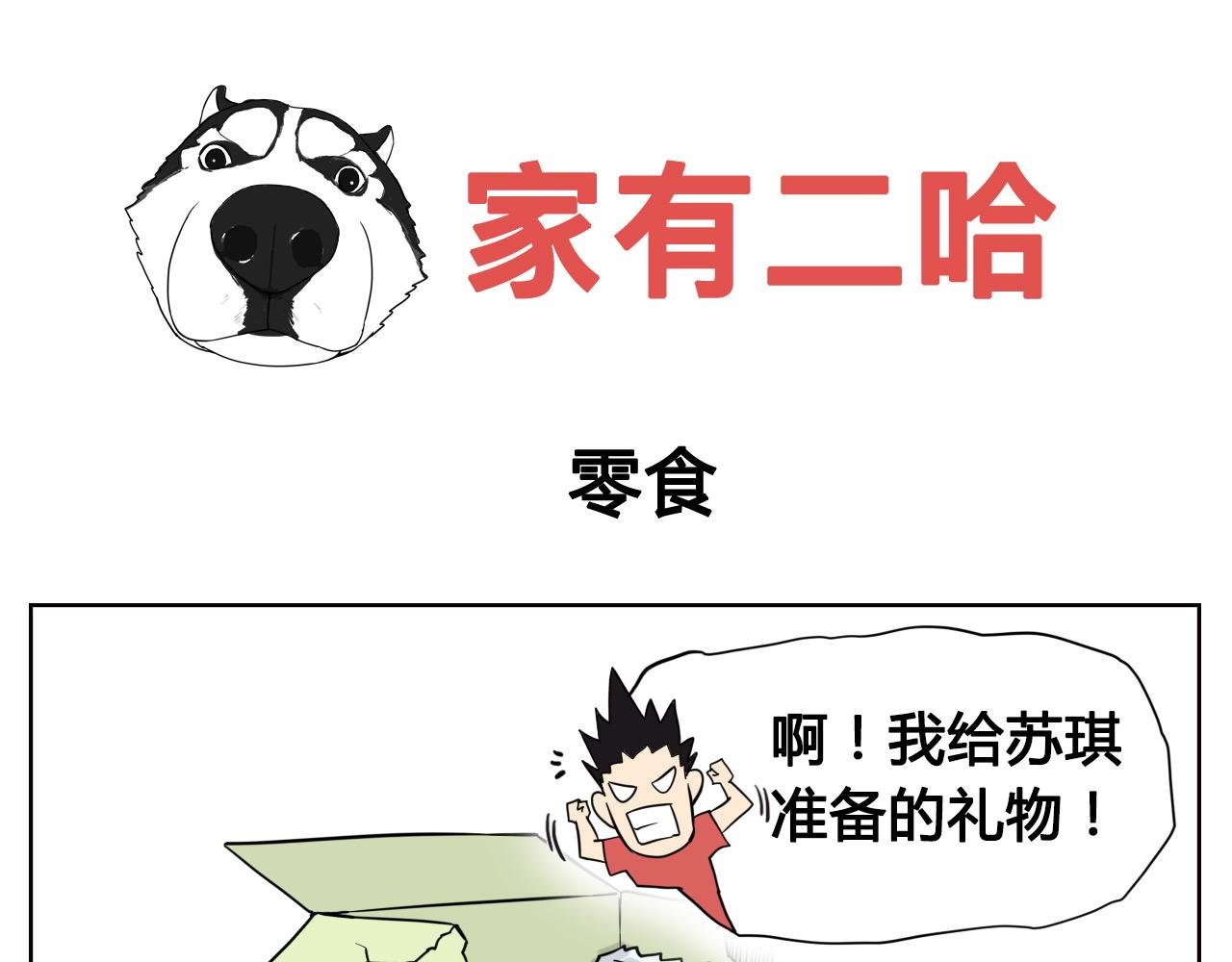 帅帅与我的异地恋生活