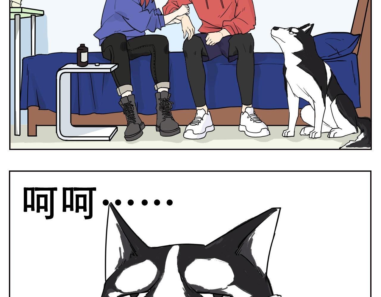 与帅帅外出引发的事件!