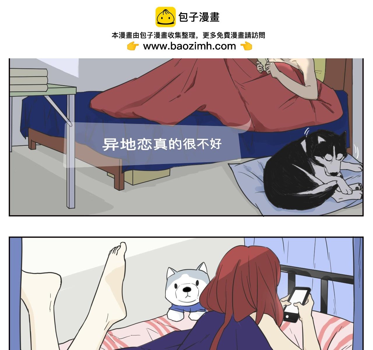 帅帅的陪伴