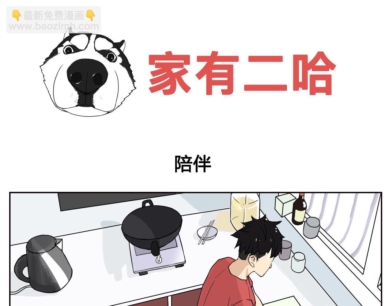 帅帅的陪伴