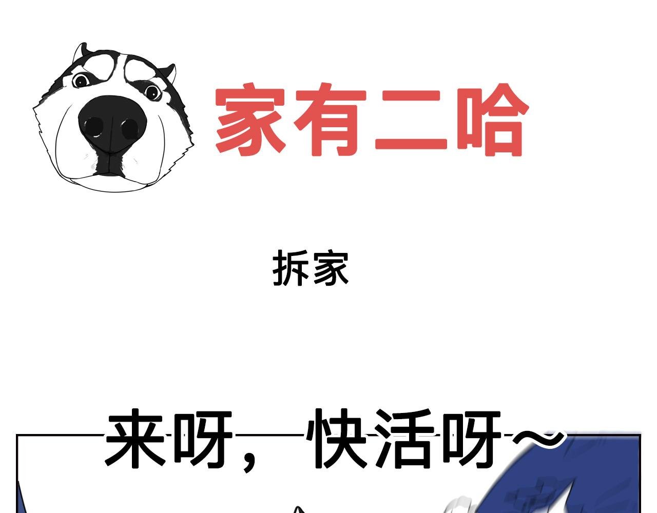 淘气的帅帅