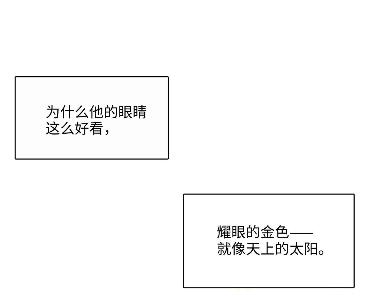 太阳一样的眼睛