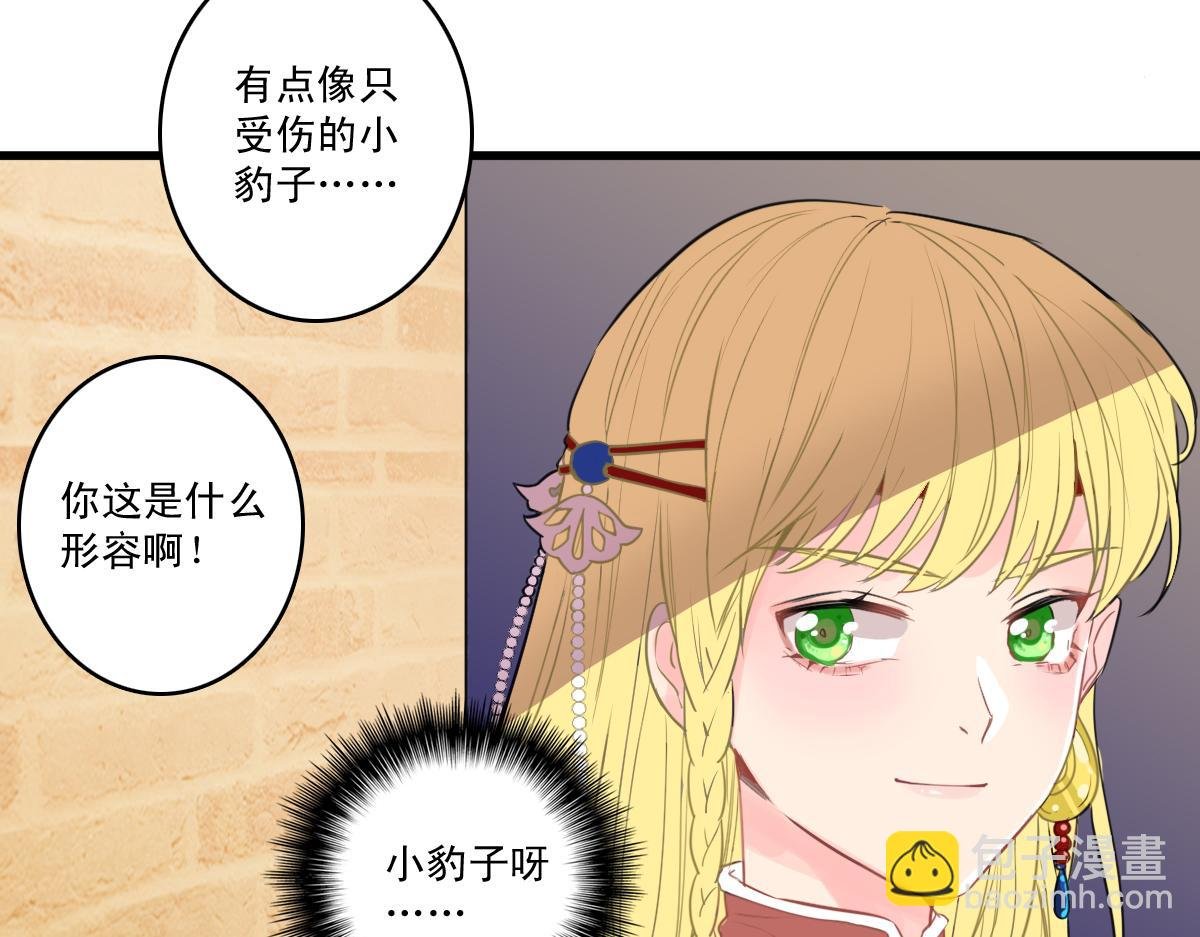 1.漂亮的宠物