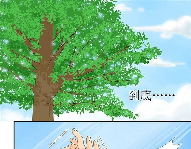 预告