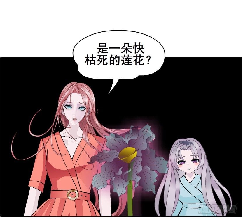 第67集 梦境与幻境