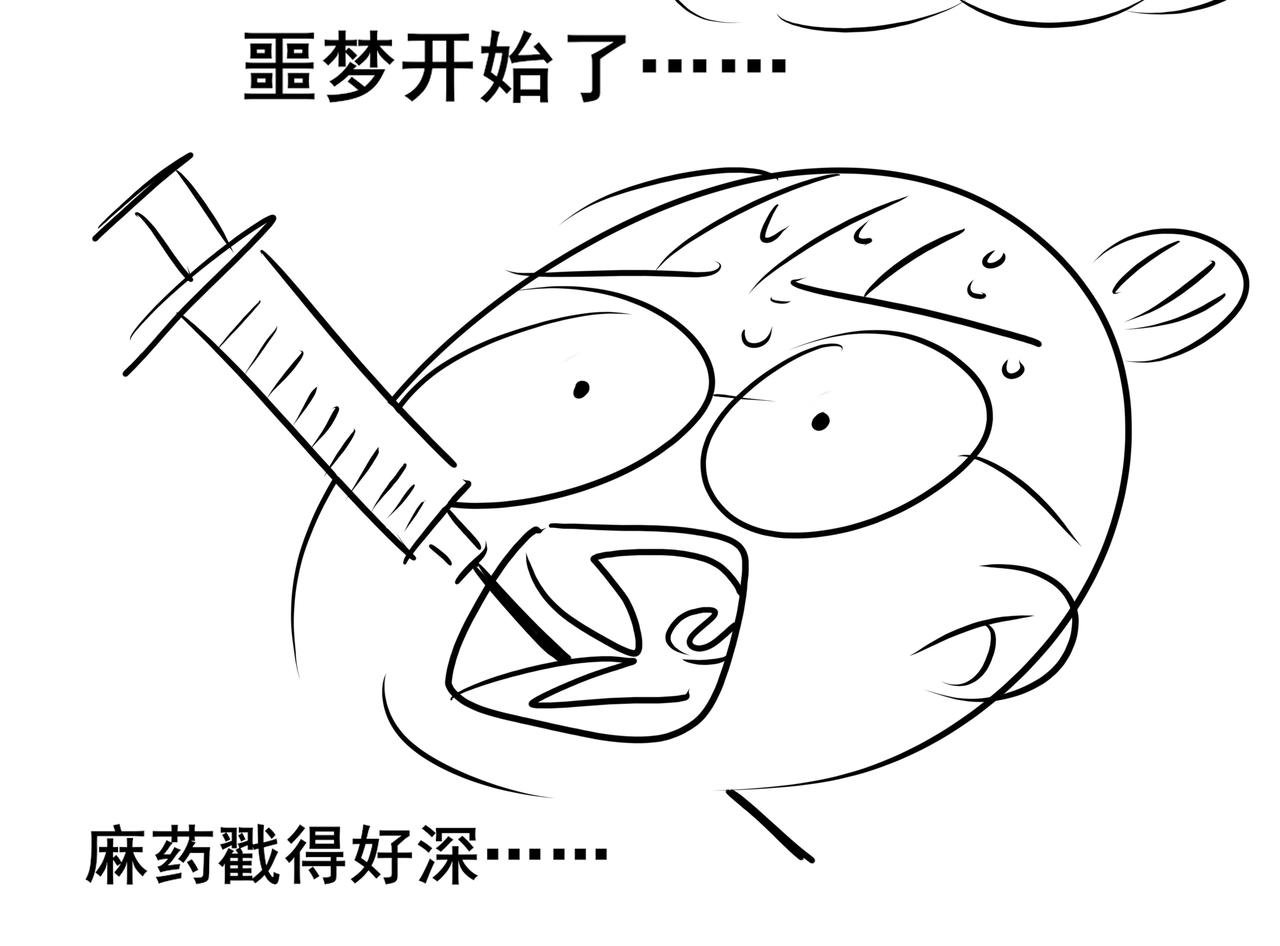 番外 胖晴学车＋看牙