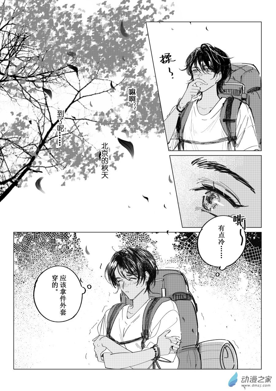 02 致叶子