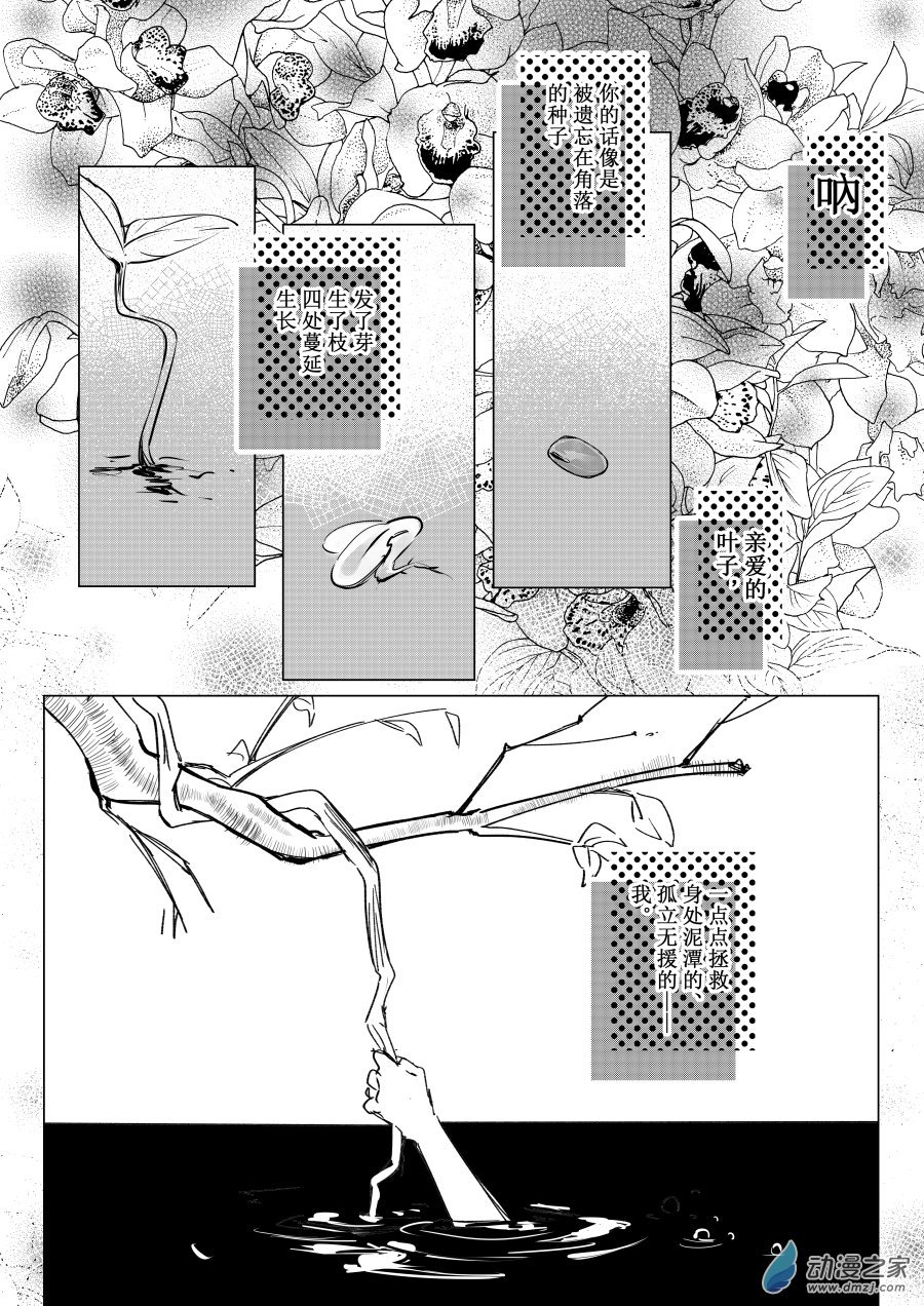 02 致叶子