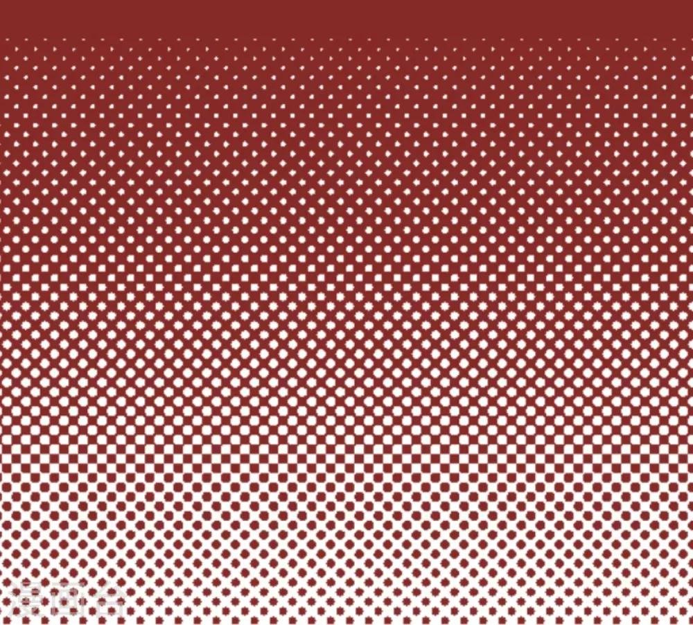 第20话 同伴