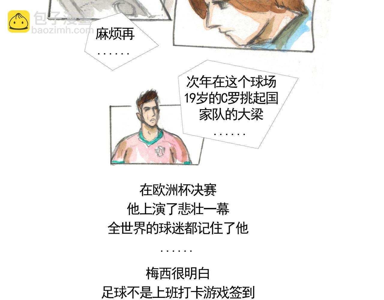潘帕斯雏鹰