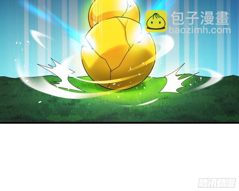 准备投降