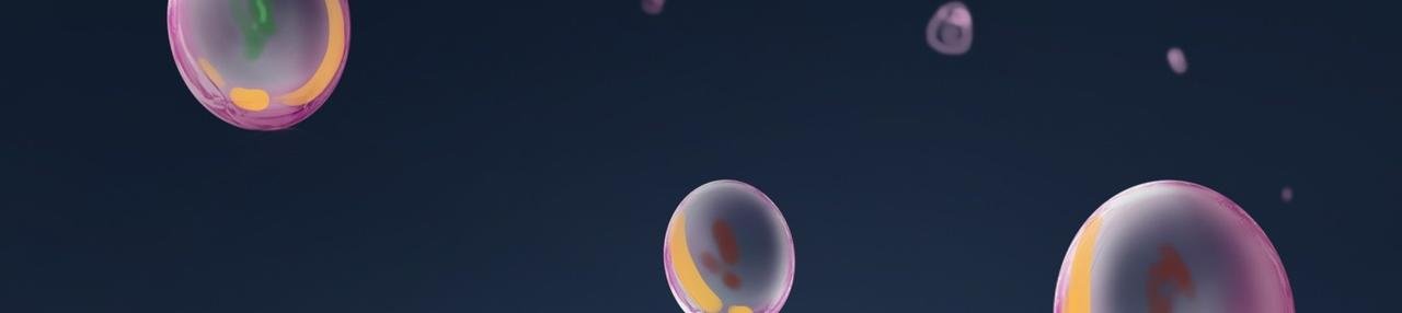 006炼丹