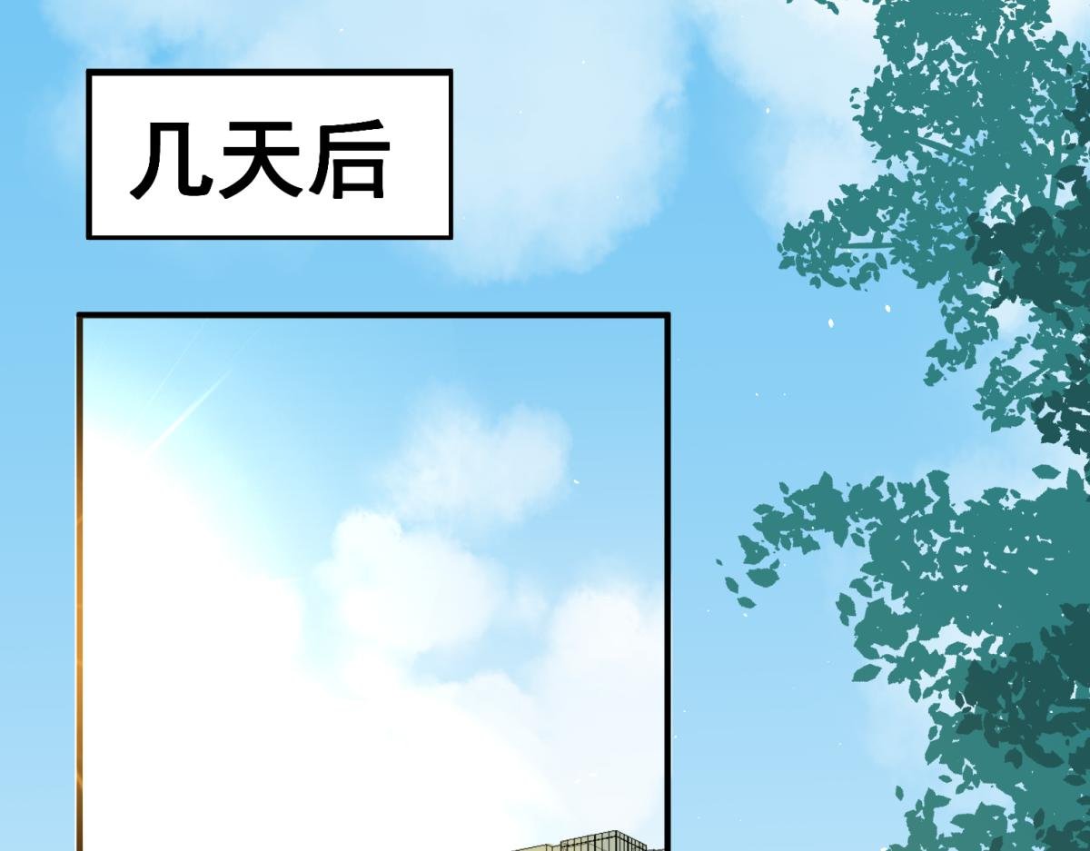 不想为了让你安心而结婚